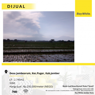 DIJUAL SAWAH DAERAH PUGER JEMBER