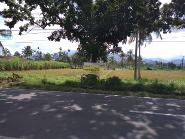 Dijual Tanah sawah aktif di Tapen Bondowoso